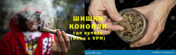 мдпв Рославль