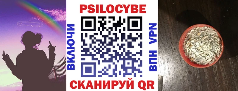 Псилоцибиновые грибы GOLDEN TEACHER  Ленинск-Кузнецкий 
